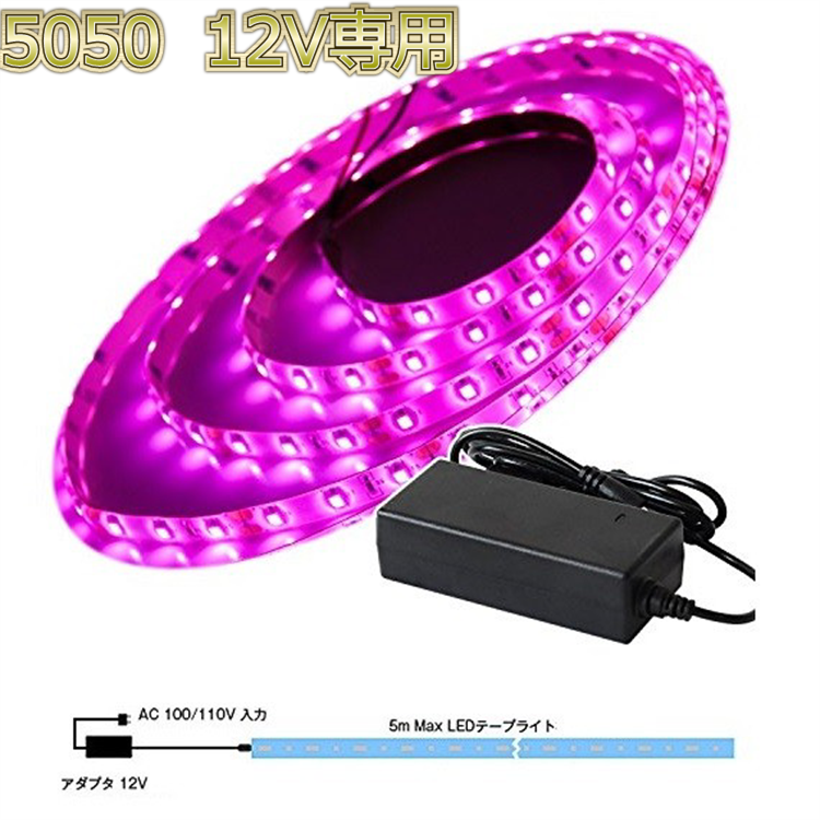 LEDテープライト12v 5050 ピンク紫 | 浦崎株式会社